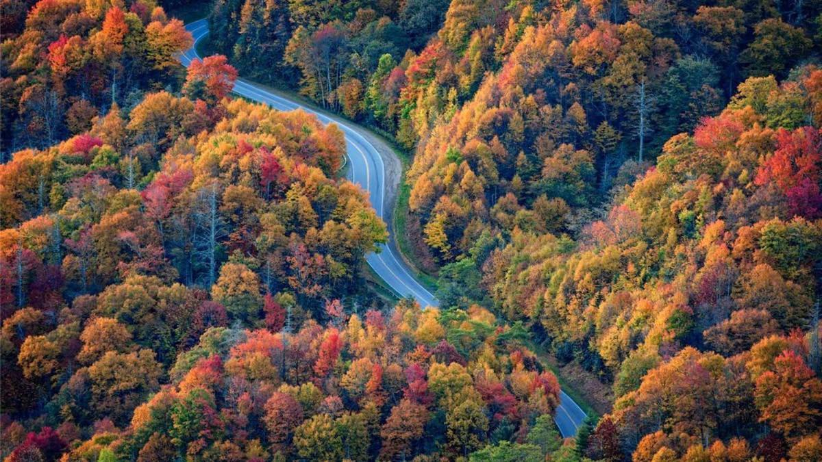 Romantic, Honeymoon Cabin In The Smokies! Гетлинбург Екстериор снимка